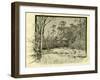 Woods Austria 1891-null-Framed Giclee Print