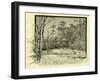 Woods Austria 1891-null-Framed Giclee Print