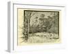 Woods Austria 1891-null-Framed Giclee Print