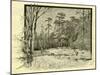 Woods Austria 1891-null-Mounted Giclee Print