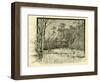 Woods Austria 1891-null-Framed Giclee Print