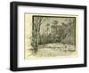 Woods Austria 1891-null-Framed Giclee Print