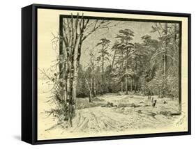 Woods Austria 1891-null-Framed Stretched Canvas