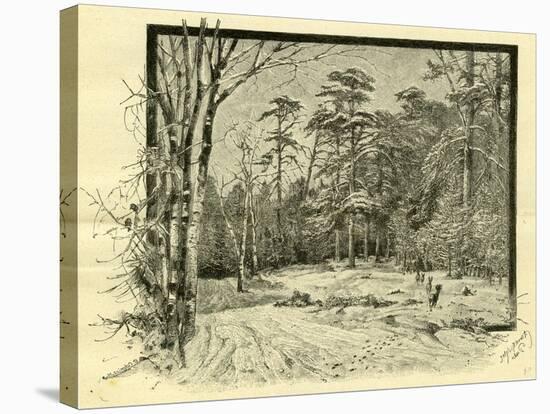 Woods Austria 1891-null-Stretched Canvas