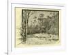 Woods Austria 1891-null-Framed Giclee Print