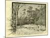 Woods Austria 1891-null-Mounted Giclee Print