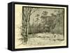 Woods Austria 1891-null-Framed Stretched Canvas