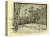 Woods Austria 1891-null-Stretched Canvas