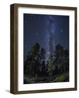 Woods in Bryce Canyon National Park at Night-Jon Hicks-Framed Photographic Print