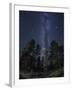 Woods in Bryce Canyon National Park at Night-Jon Hicks-Framed Photographic Print