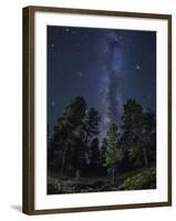 Woods in Bryce Canyon National Park at Night-Jon Hicks-Framed Photographic Print