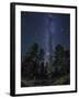 Woods in Bryce Canyon National Park at Night-Jon Hicks-Framed Photographic Print