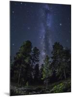 Woods in Bryce Canyon National Park at Night-Jon Hicks-Mounted Photographic Print