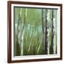 Woods Moment II-Damon-Framed Giclee Print