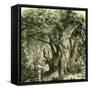 Woods Uk 19th Century-null-Framed Stretched Canvas