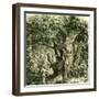 Woods Uk 19th Century-null-Framed Giclee Print