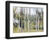 Woods-Elissa Gore-Framed Giclee Print