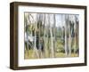 Woods-Elissa Gore-Framed Giclee Print