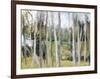 Woods-Elissa Gore-Framed Art Print