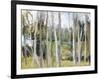 Woods-Elissa Gore-Framed Art Print