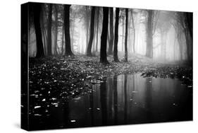 Woods-PhotoINC-Stretched Canvas