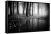 Woods-PhotoINC-Framed Stretched Canvas