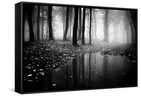 Woods-PhotoINC-Framed Stretched Canvas