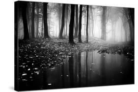 Woods-PhotoINC-Stretched Canvas