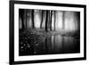 Woods-PhotoINC-Framed Photographic Print