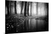 Woods-PhotoINC-Mounted Photographic Print