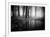 Woods-PhotoINC-Framed Photographic Print