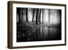 Woods-PhotoINC-Framed Photographic Print
