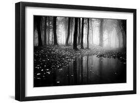 Woods-PhotoINC-Framed Photographic Print