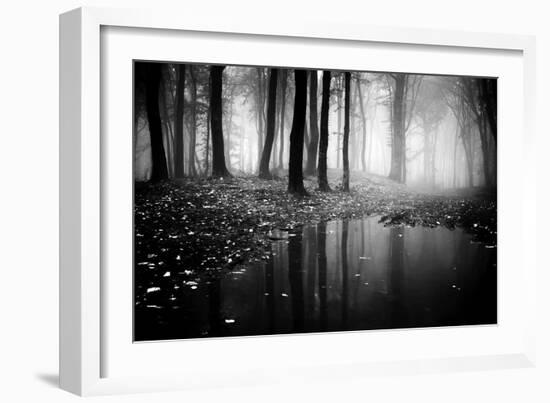 Woods-PhotoINC-Framed Photographic Print