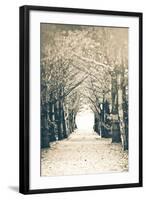 Woods-Kelly Poynter-Framed Photographic Print