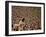 Woodstock, 1970-null-Framed Photo