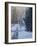 Woodstock Dawn-Bruce Dumas-Framed Giclee Print