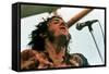 Woodstock, Joe Cocker, 1970-null-Framed Stretched Canvas