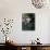 Woodstock-Bill Eppridge-Premium Photographic Print displayed on a wall