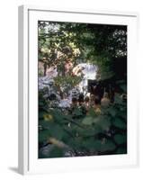 Woodstock-Bill Eppridge-Framed Premium Photographic Print