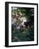 Woodstock-Bill Eppridge-Framed Photographic Print