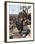 Woodstock-null-Framed Premium Photographic Print