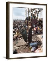 Woodstock-null-Framed Photographic Print