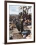 Woodstock-null-Framed Photographic Print