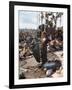 Woodstock-null-Framed Photographic Print