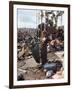 Woodstock-null-Framed Photographic Print