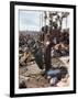 Woodstock-null-Framed Photographic Print