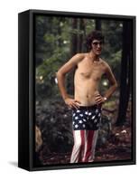 Woodstock-null-Framed Stretched Canvas