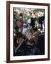 Woodstock-null-Framed Photographic Print