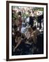 Woodstock-null-Framed Photographic Print